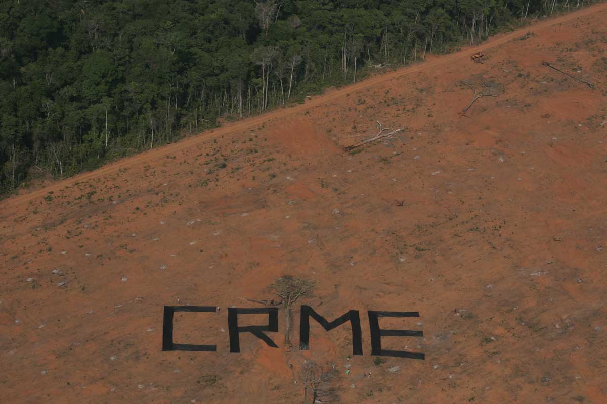 Per denunciare la deforestazione in Brasile, attivisti di Greenpeace dispiegano uno striscione attorno a un albero formando la scritta “Crime”