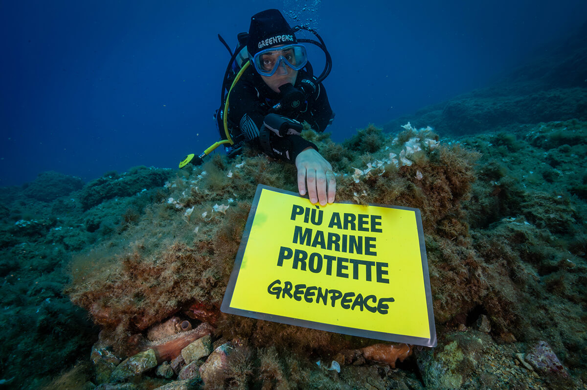 Attivista di Greenpeace durante un monitoraggio subacqueo dei fondali dell'Isola di Gallinara regge un cartello con la scritta “Più aree marine protette”