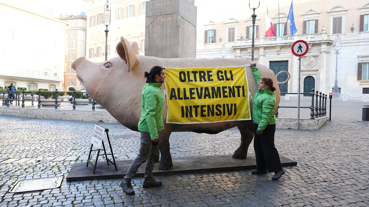 Attivisti di Greenpeace manifestano in Piazza Montecitorio a Roma con un maiale gigante in cartapesta su cui è scritto “Oltre gli allevamenti intensivi”